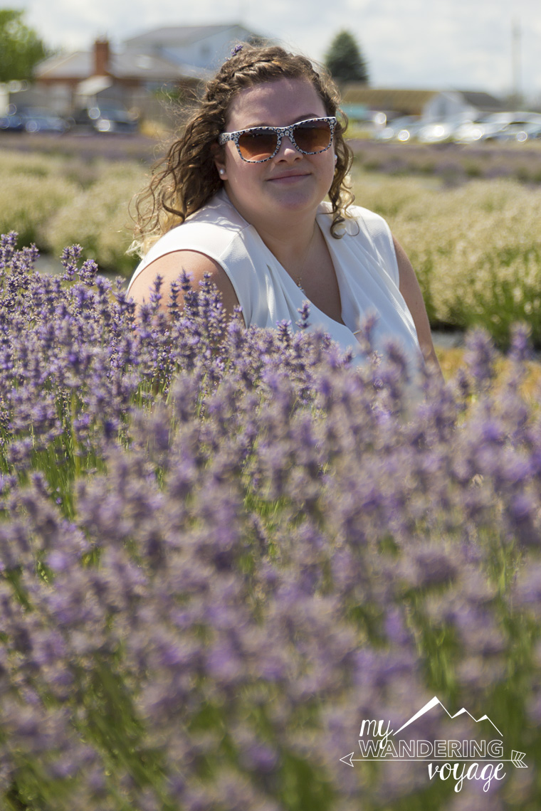 A day of everything lavender NEOB Lavender Festival in Niagaraonthe