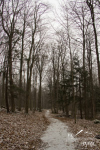 Crawford Lake Conservation Area - Ontario Trails | My Wandering Voyage travel blog