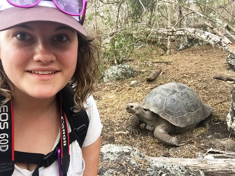 Giant Tortoise Floreana Galapagos | My Wandering Voyage travel blog