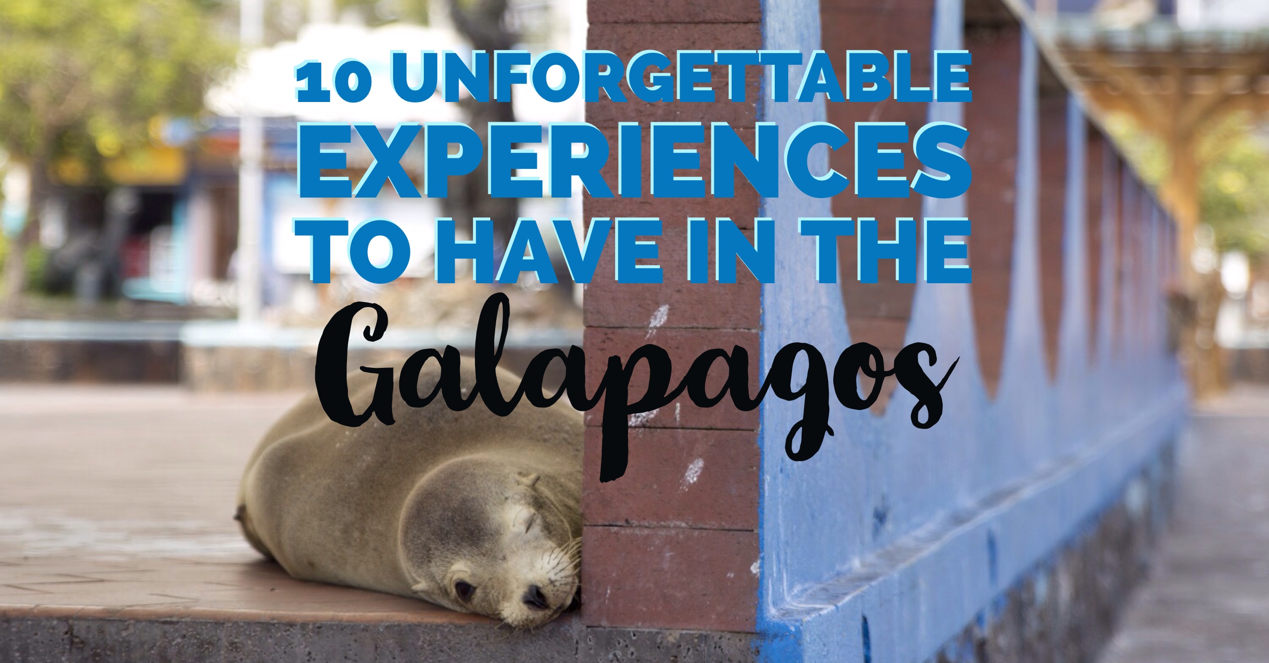 10 unforgettable experiences to have in Galapagos | My Wandering Voyage travel blog