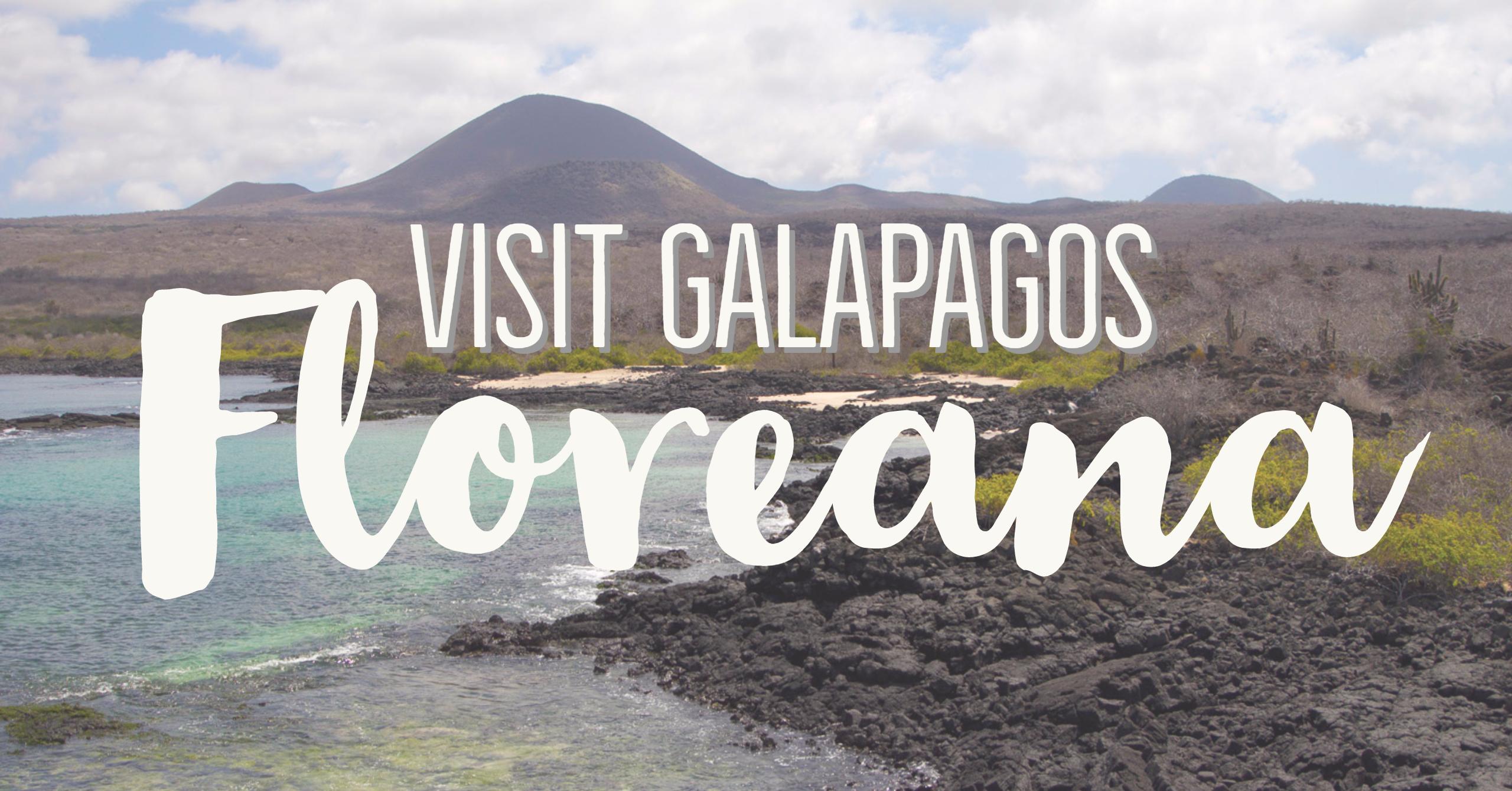 Visit Floreana Island, Galapagos | My Wandering Voyage travel blog