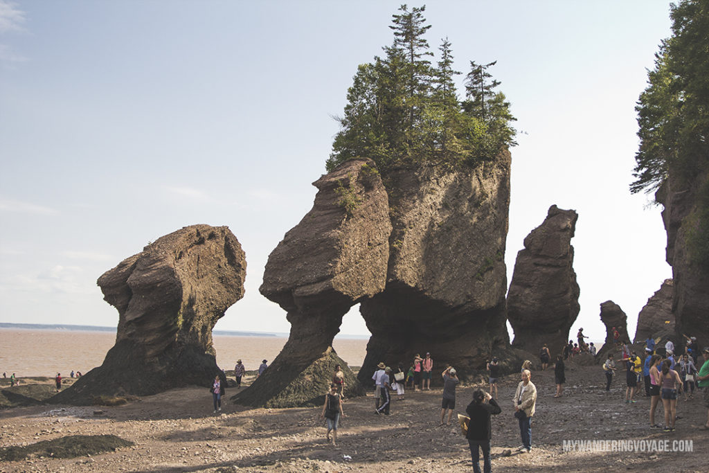 Discover Hopewell Rocks - 10 treasures to discover in New Brunswick, Canada. From rugged coasts to sandy beaches to French heritage and fresh seafood, New Brunswick has it all | My Wandering Voyage