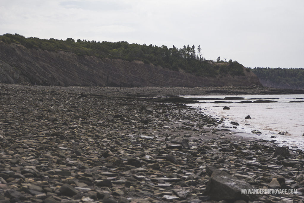 Visit Lunenburg and other UNESCO World Heritage Sites in Nova Scotia – Go back in time at Joggins Fossil Cliffs, a rich deposit of fossils right here in Nova Scotia | My Wandering Voyage travel blog