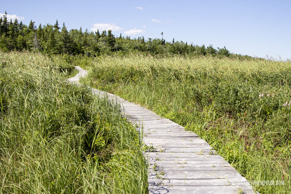Discover Kouchibouguac National Park - 10 treasures to discover in New Brunswick, Canada. From rugged coasts to sandy beaches to French heritage and fresh seafood, New Brunswick has it all | My Wandering Voyage