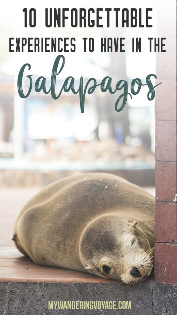 10 unforgettable experiences to have in the Galapagos – Galapagos is everything a traveller dreams of and more. Here are 10 unforgettable experiences to have in this South American travel destination. | My Wandering Voyage travel blog