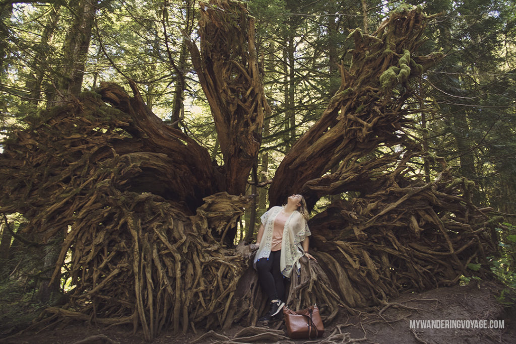 Cathedral Grove | Get out and explore Beautiful British Columbia. From the coastal rainforests to the summit of mountains to cities like Vancouver and Victoria, there is so much to discover in British Columbia. Here’s everything you need to see in 10 days in British Columbia | My Wandering Voyage travel blog