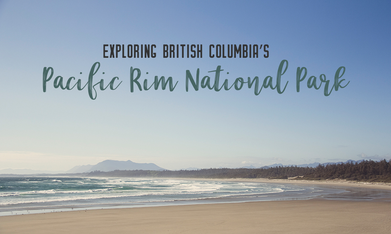 Explore Pacific Rim National Park Reserve, located on the western coast of Vancouver Island in British Columbia. From surfing to hiking to long stretches of beach, Pacific Rim is an adventurer’s paradise | My Wandering Voyage #PacificRimNationalParkReserve #VancouverIsland #BritishColumbia #ParksCanada #Canada #Canadatravel #travel