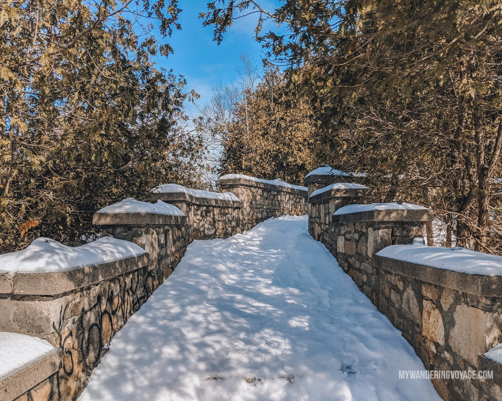 Elora Gorge Lookout | The ultimate list of things to do in Elora, Ontario. Visit Elora for its small town charm, natural beauty and one-of-a-kind shops and restaurants | My Wandering Voyage travel blog