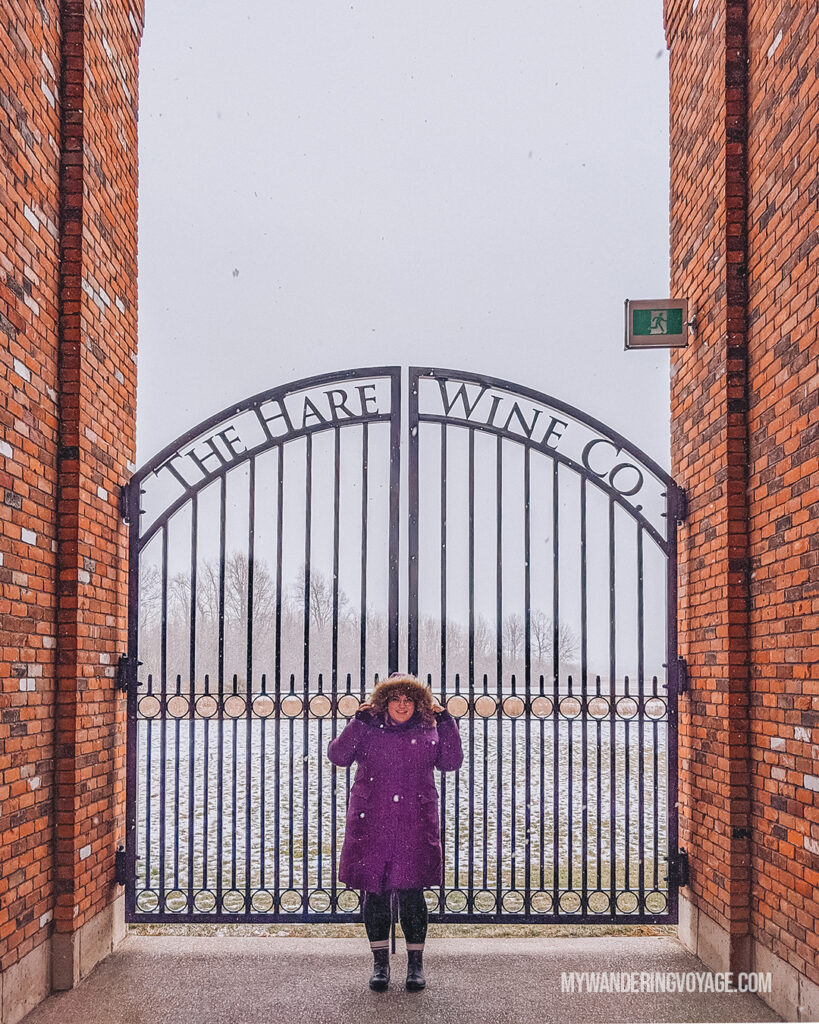 Walking around Niagara on the Lake winery The Hare Wine Co. during winter | 52 Day trips from Toronto | My Wandering Voyage travel blog