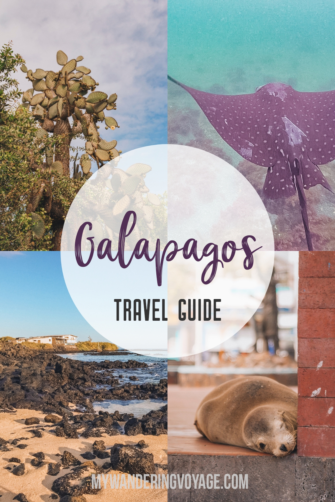 fco travel advice galapagos