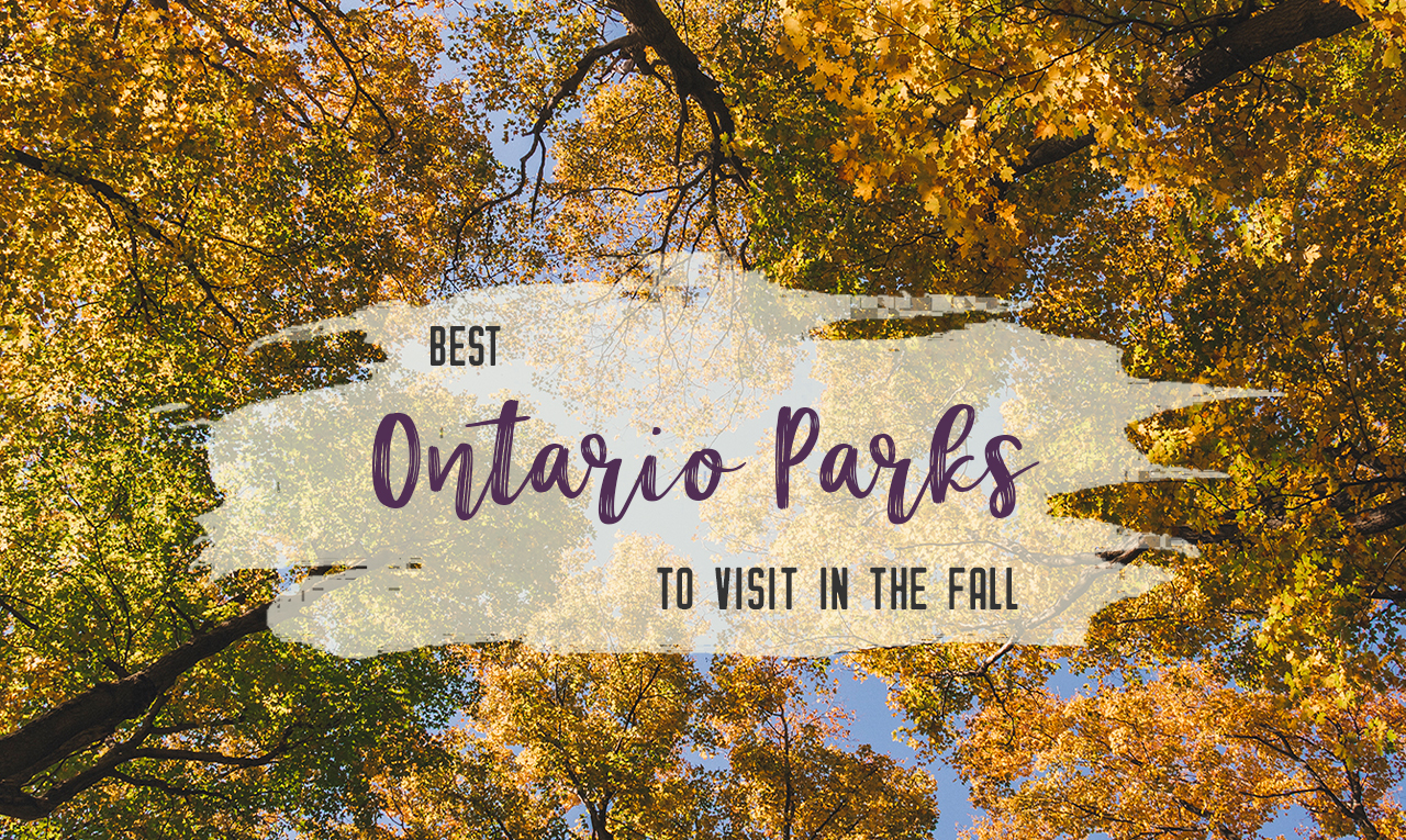 Go for an autumn road trip to see the best Ontario Provincial Parks to visit in the fall, including Algonquin, Killarney, Killbear provincial parks and more. Enjoy the crisp air and the vibrant shades of fall at Ontario Provincial Parks. | My Wandering Voyage travel blog #Ontario #Canada #Algonguin #Killarney #OntarioParks #travel #camping #roadtrips #autumn