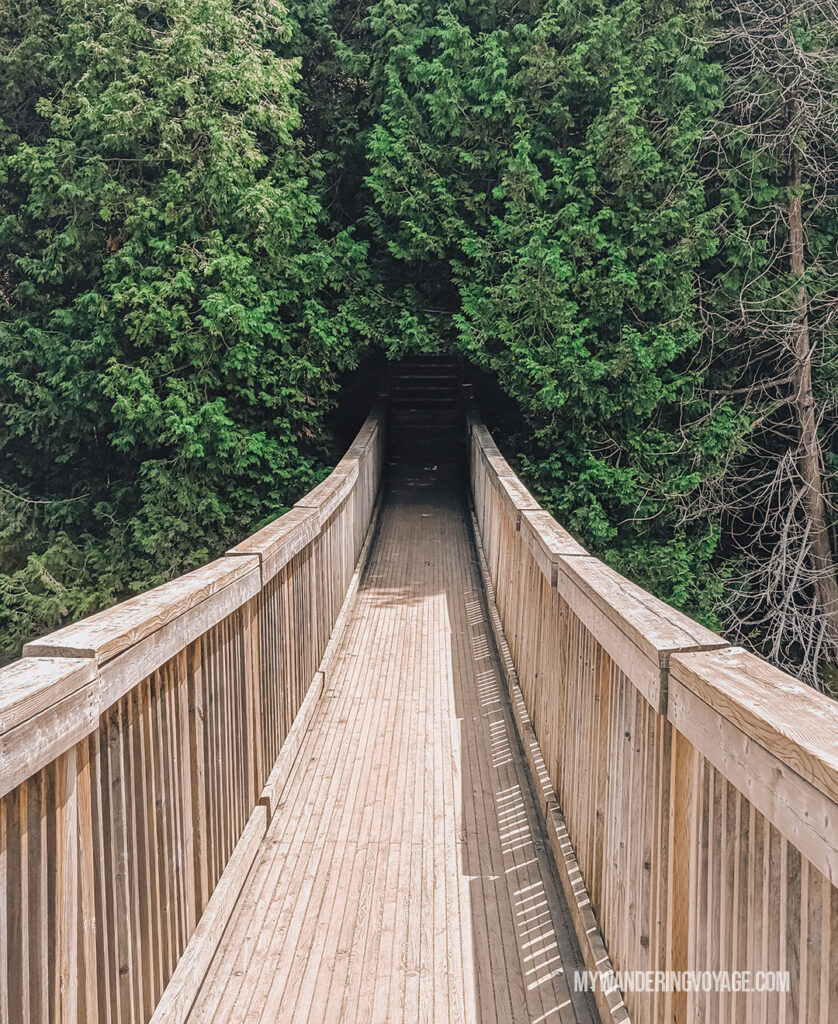 Belfountain Conservation Area swing bridge | Best scenic bridges in Ontario you have to visit | My Wandering Voyage travel blog