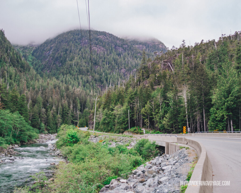 Driving on Vancouver Island | Vancouver Island road trip 5 day itinerary | My Wandering Voyage