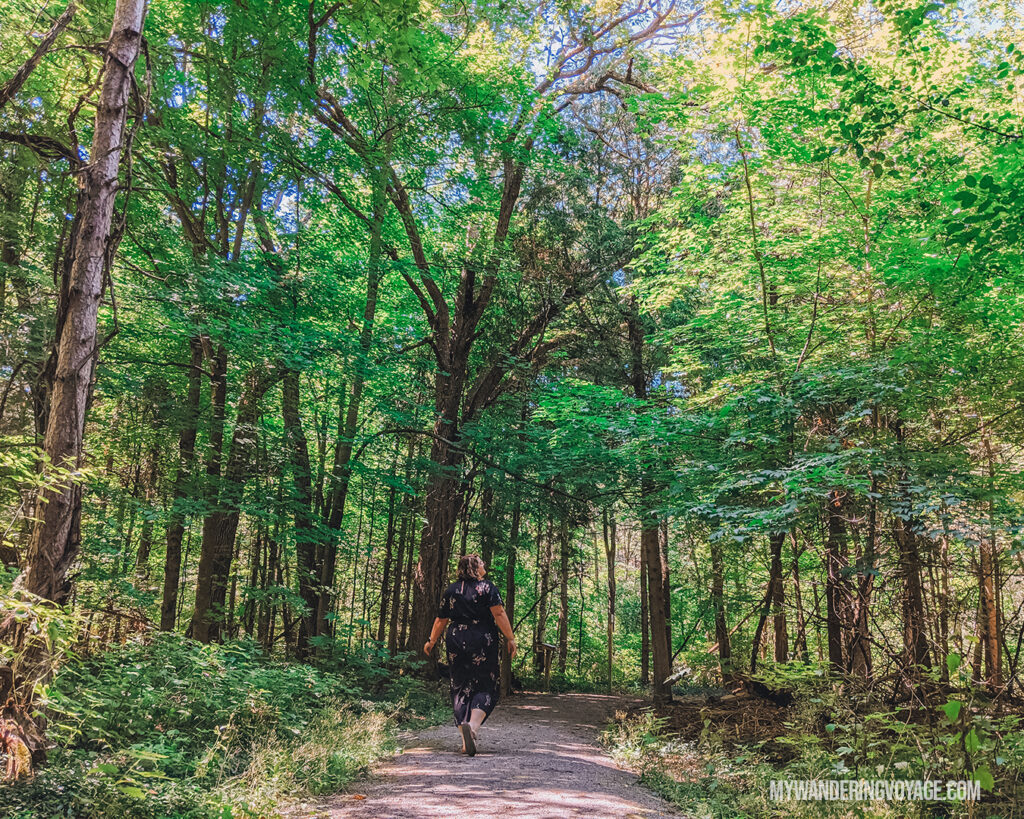 Frolicking in the Forest | Take a surprise day trip in Ontario | My Wandering Voyage travel blog #Travel #Ontario #Canada #SurpriseTrip #TripItinerary