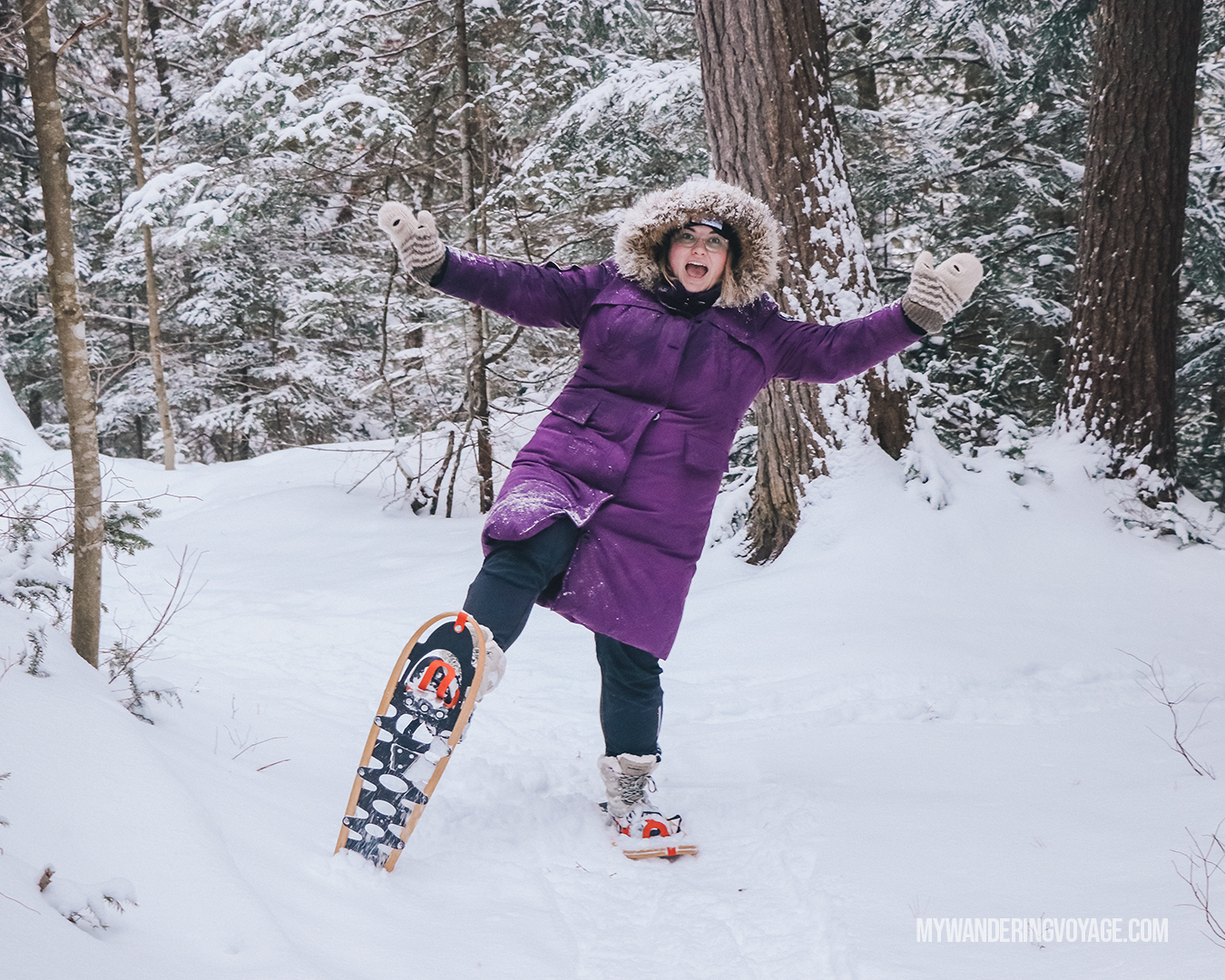 11+ stellar places for snowshoeing in Ontario | My Wandering Voyage