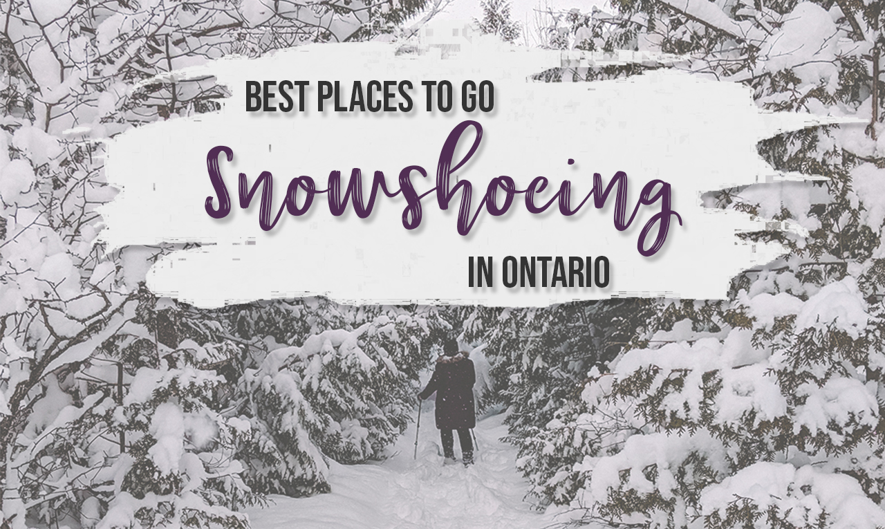 Looking to take up a new activity this winter? Try snowshoeing in Ontario. There are so many great snowshoeing trails in Ontario to explore. | My Wandering Voyage travel blog #travel #winterexercise #snowshoeing #Ontario #Canada