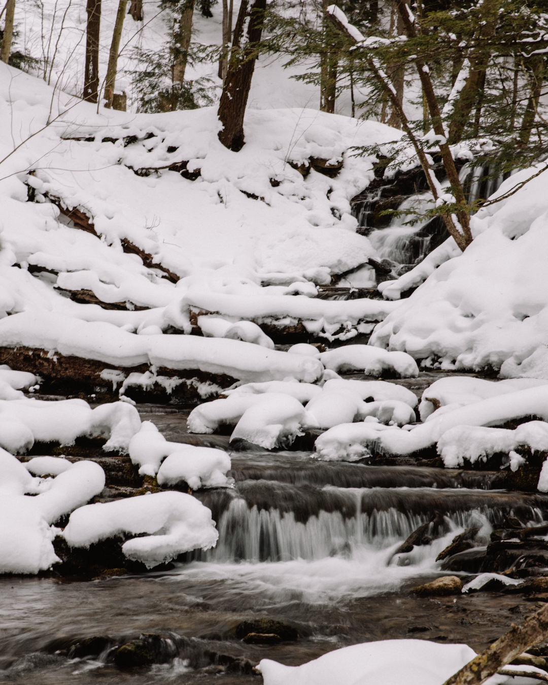 Check out these incredible Grey County Waterfalls in Winter | My ...